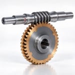 Worm with Axle